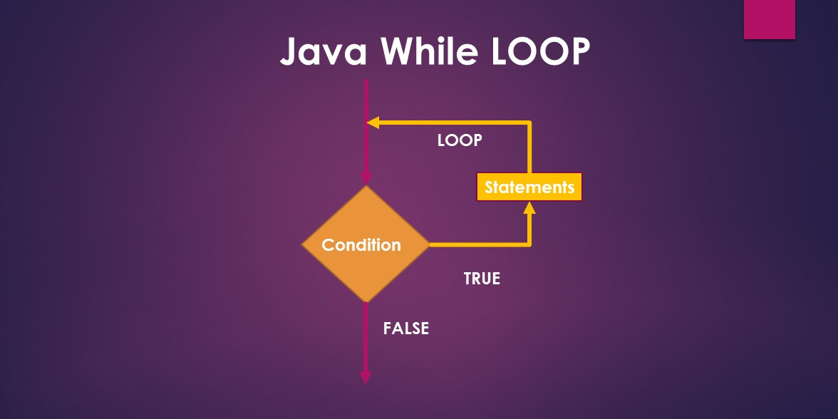 java assignment while