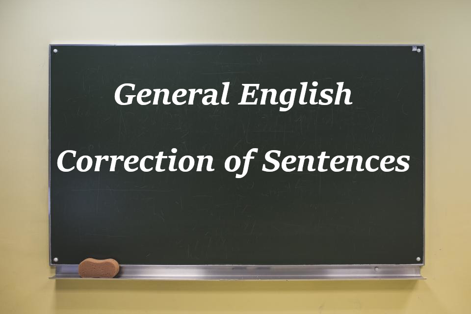 general-english-grammar-mcq-questions-and-answers-on-noun-correction-of