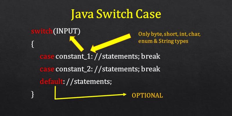 switch case java examples with expressions