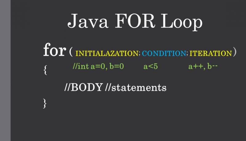 for loop assignment in java