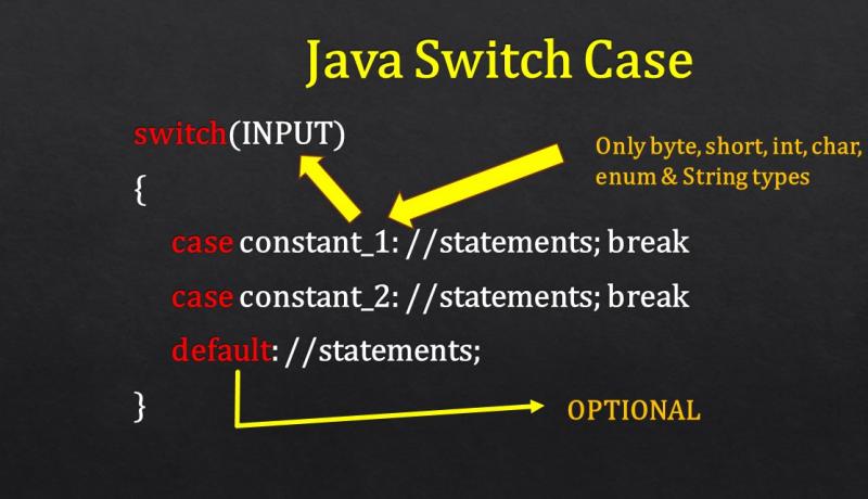 java switch case assignment